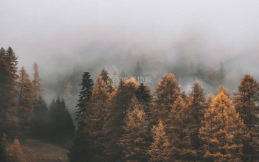 2024必美新品 | 史迪萊克無暇高尚系列，美出新高度！